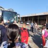 Ugljevički đaci na kampu u Bogatiću: Ekologija, obrazovanje i prijateljstvo