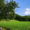 Kakvo nas vrijeme očekuje u naredna dva mjeseca? Ljeto pokazuje “pravo lice”