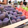 UGLJEVIK U NEDJELJU U ZNAKU TRADICIJE: Jubilarni 15. Sajam šljive, voćnih rakija i meda