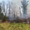 Ponovo gori na Švapskoj adi kod Bijeljine